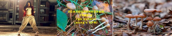 винт Белокуриха